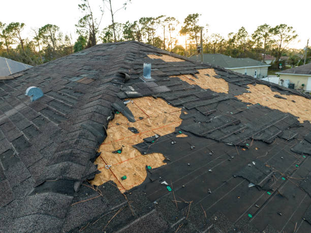 Best Steel Roofing  in North Granby, CT