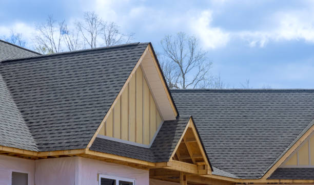 Best Roof Moss and Algae Removal  in North Granby, CT